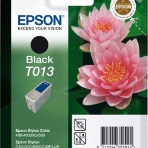 Epson T013 Black Original Ink Cartridge
