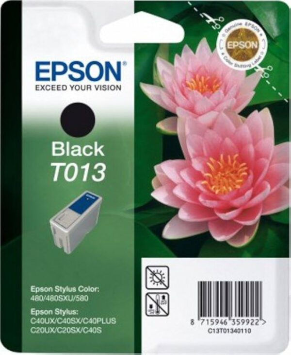 Epson T013 Black Original Ink Cartridge